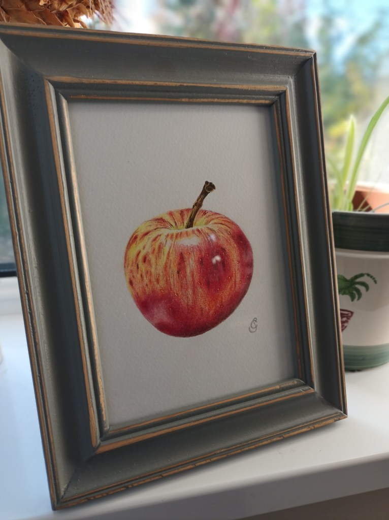 Apple study in colour pencil, in a grey-blue frame