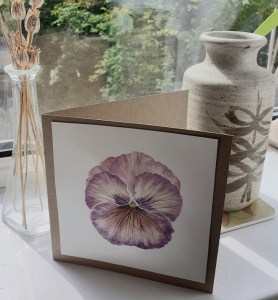 Viola study in watercolour